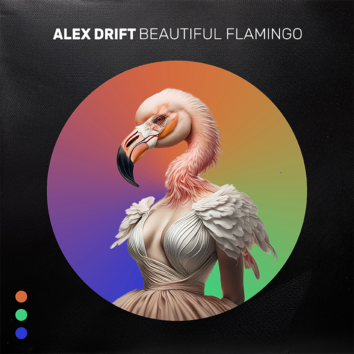 Beautiful Flamingo Cover